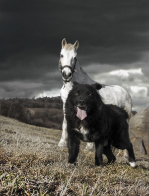 Black and white world